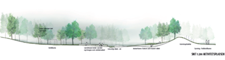 Trees on the ground in a foggy environment, seen from a distance