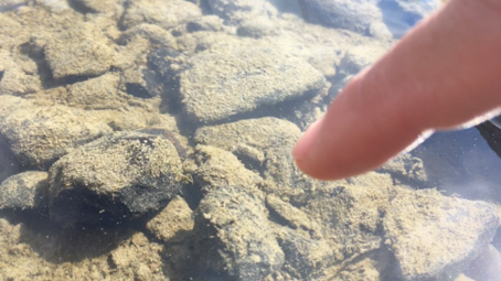 A finger pointing at stones on the ground