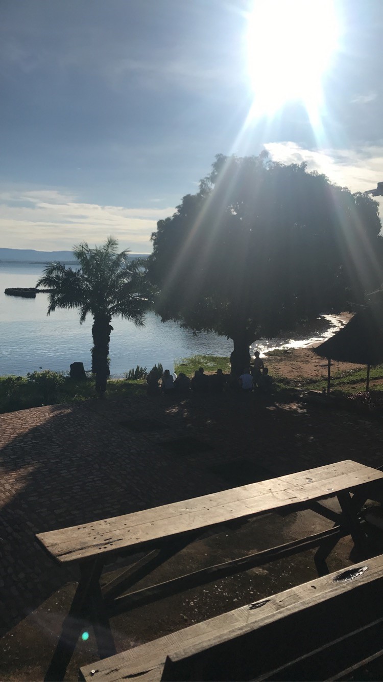 A bench with a view over palm trees and ocean