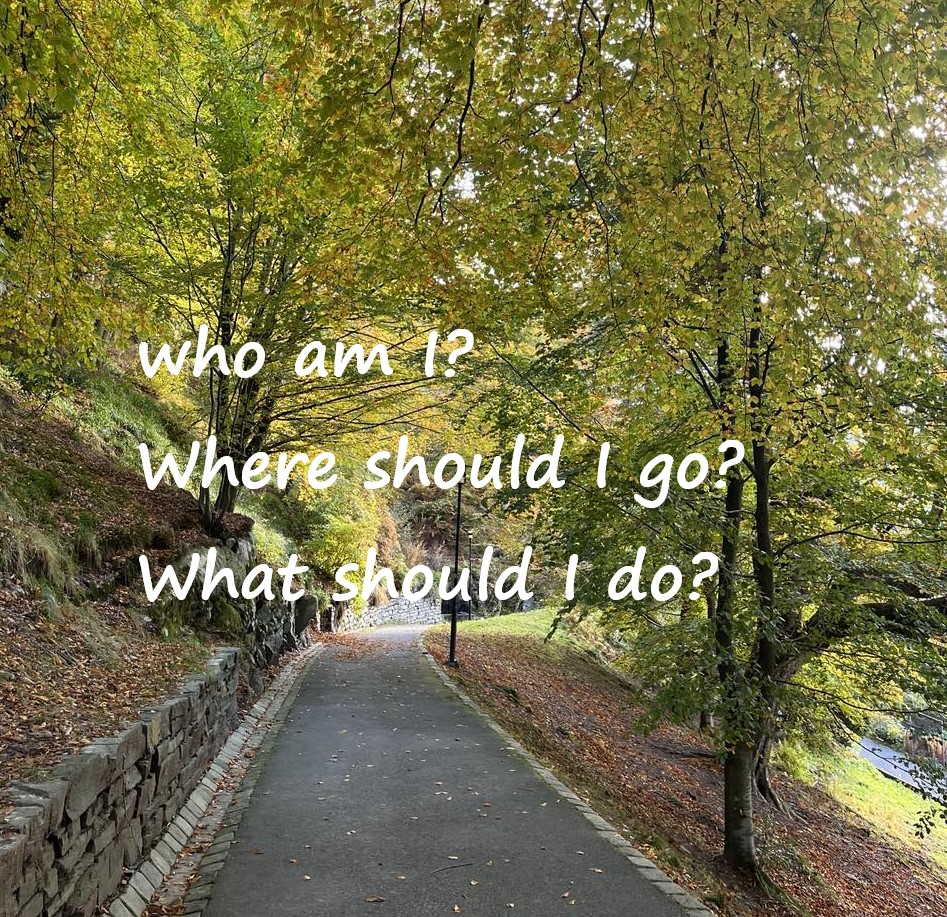 A path through a forrest with the question "Who am I?", "Where should I go?", "What should I do?"
