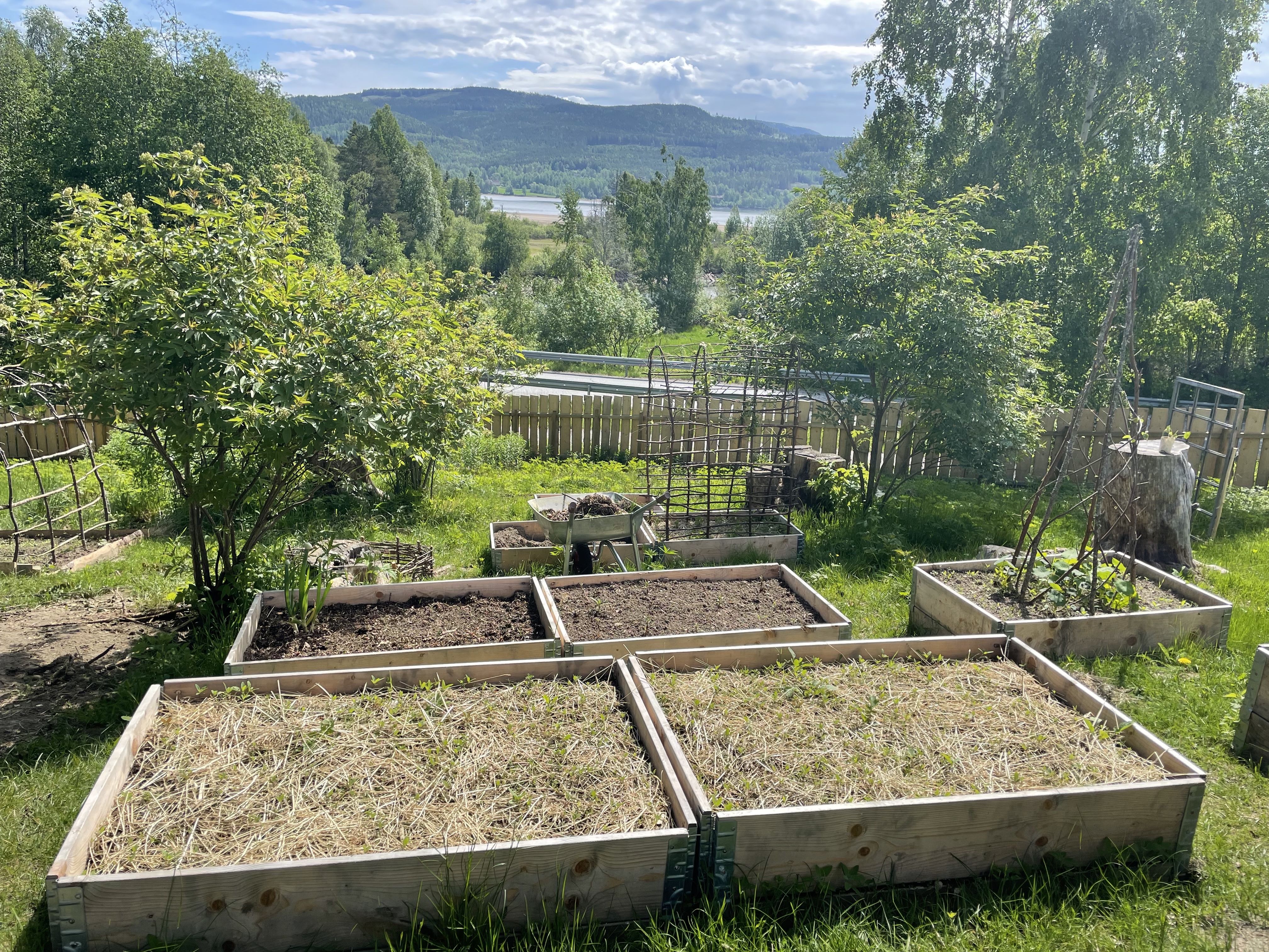 A garden with a lake view
