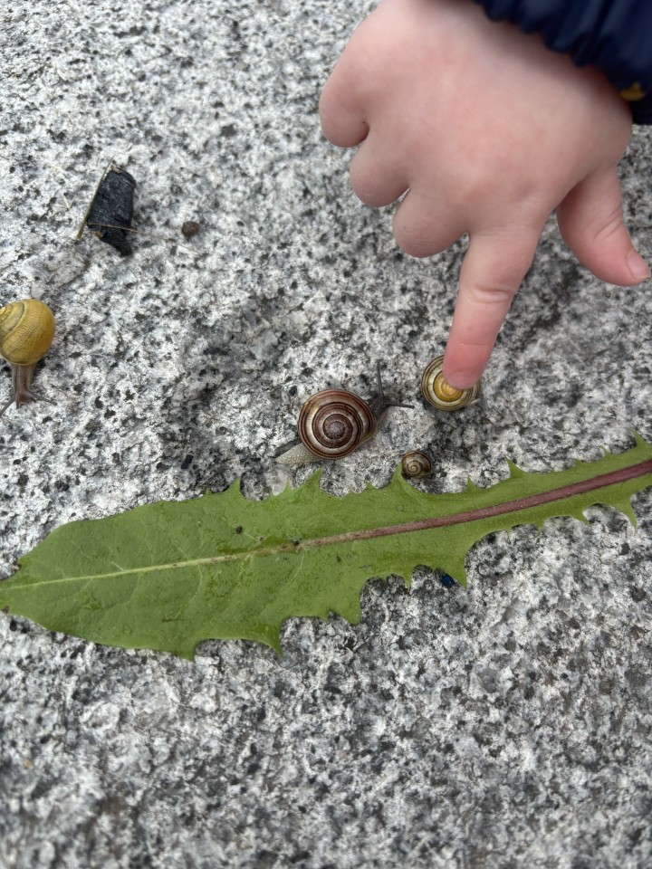 A child exploring nature