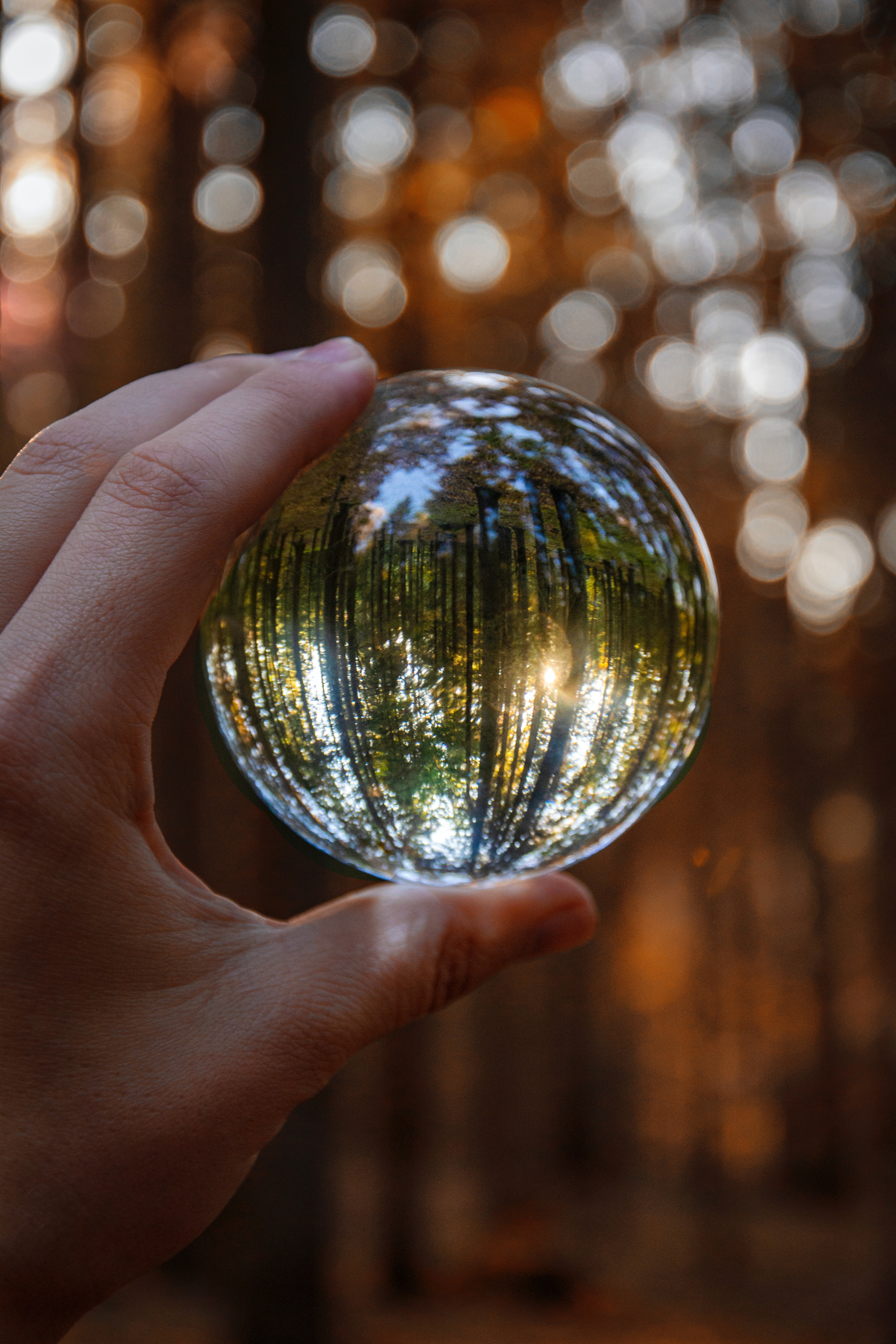 Close-up of hand holding a glass ball, in which trees in a forest is reflected upside down. Picture by Artem Saranin from Pexels.com