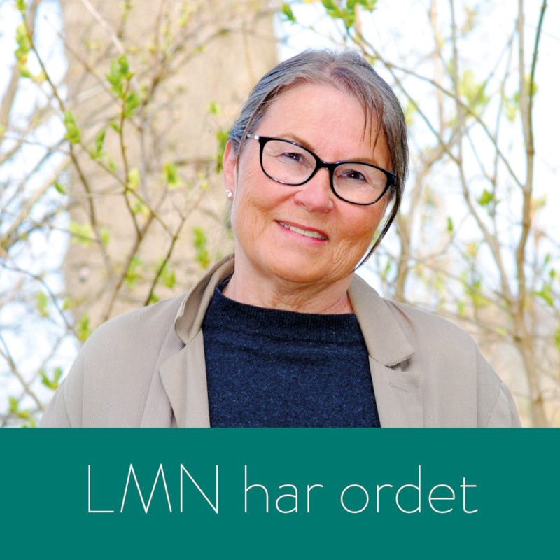 Liv Merete Nielsen med logo for LMN har ordet i FORM