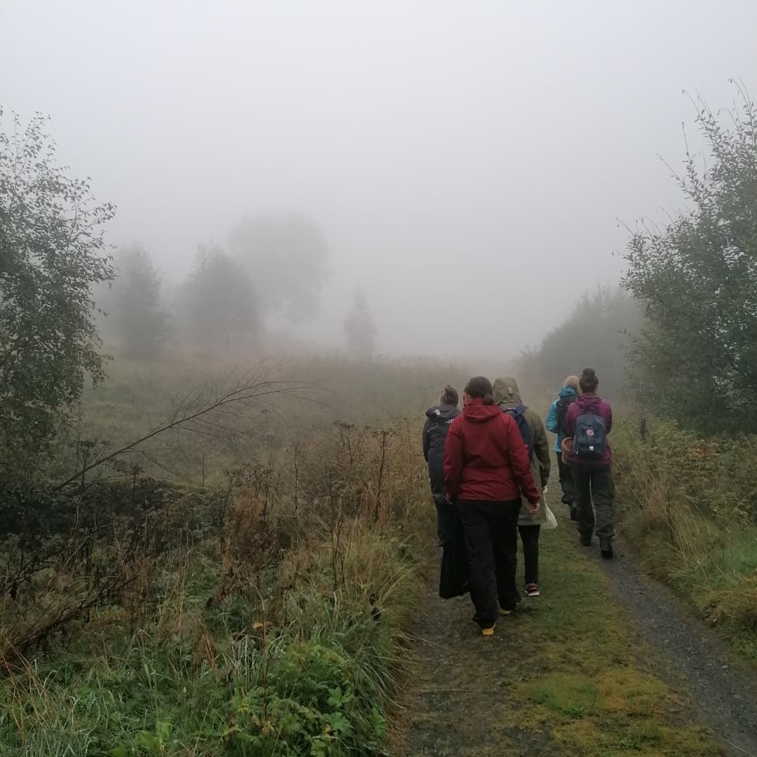 Five people walking along a forest road in fog