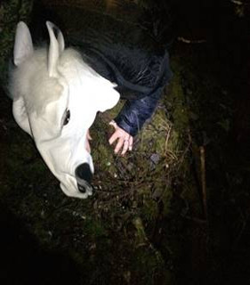 A person with a white horse mask on her head, kneeling in the woods, touching a moss covered rock