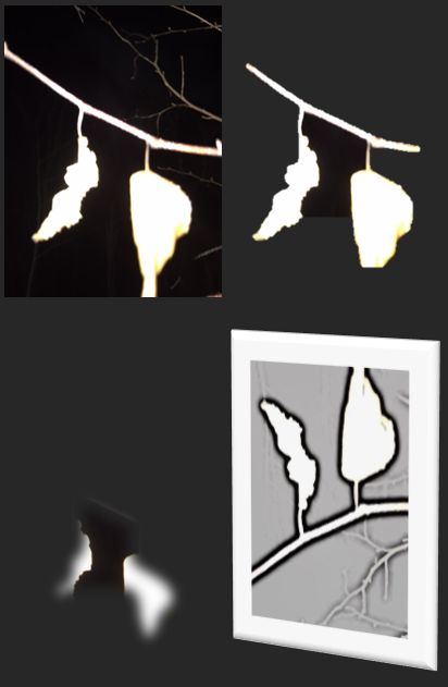 Variations in black and white over an image of two leaves on a branch