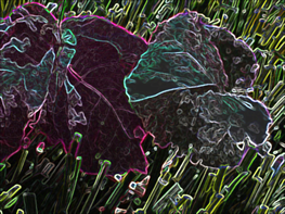 A collage of five photos (some in black and white and some with colours) from outdoors environment that have been transformed and become something else
