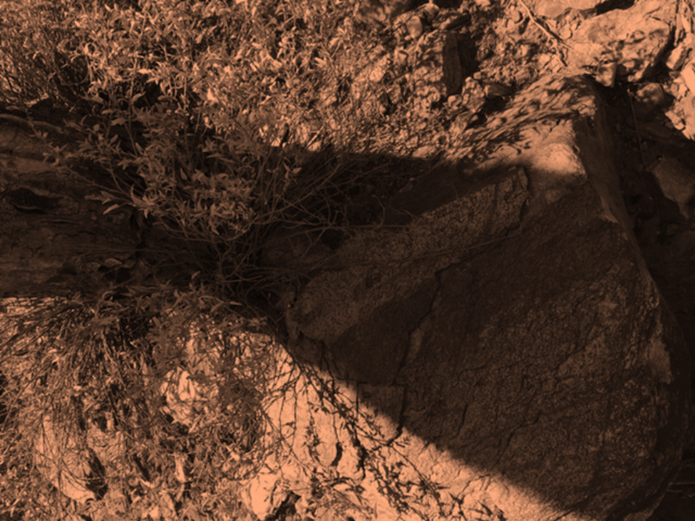 Shadow on brown landscape